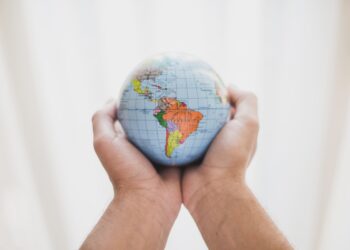 Transporte de Cargas no Mercosul